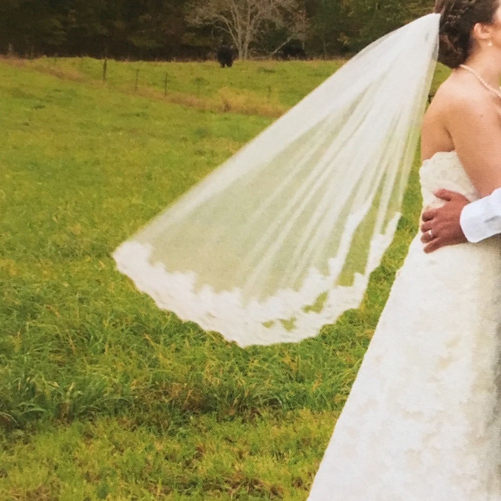 Ivory veil with lace